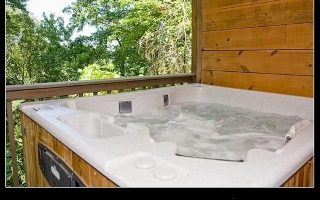 Mountain Bearadise 2 Bedrooms 2 Bathrooms Cabin