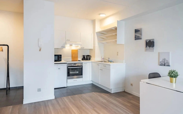 Non Smoking 1-bedroom Apartment