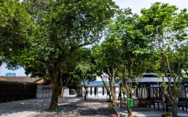Beihai Perfect Courtyard Homestay