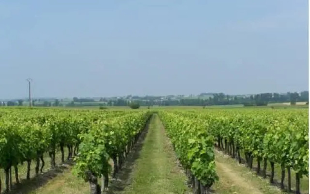 Domaine du Bouquet