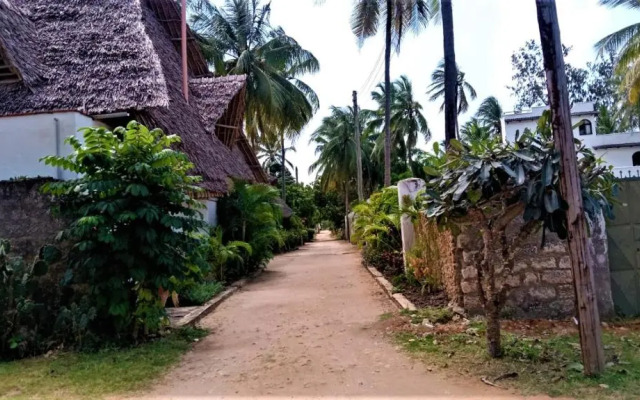 V-Szameitat Homes, Kongo River