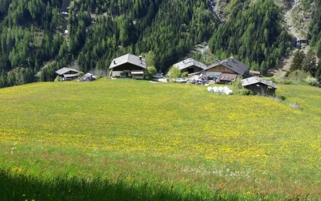 Pichlerhof