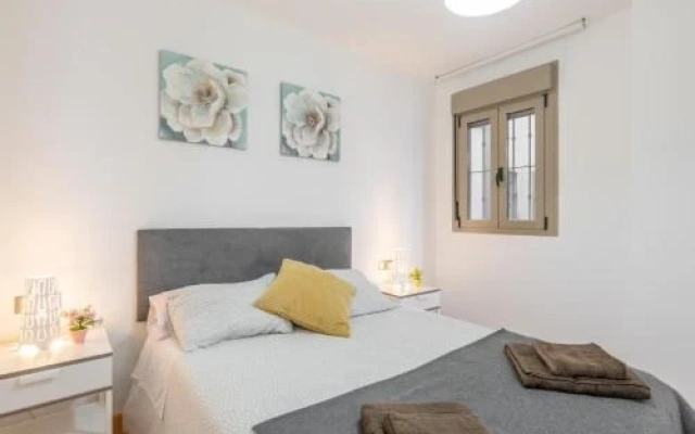 Apartamentos Paseo del Carmen