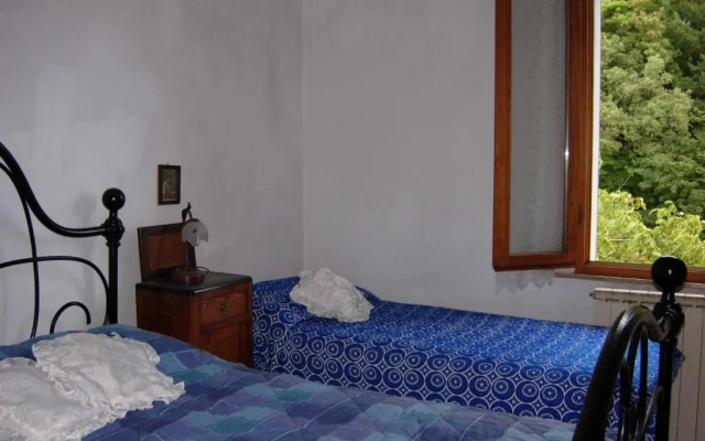 Il Pino Amiata