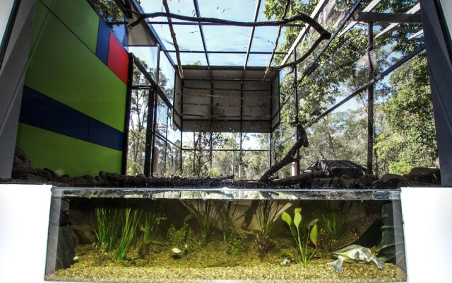 The Feathered Nest - Wildlife Retreat