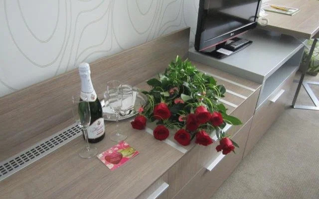 Wellness Hotel Bystrá