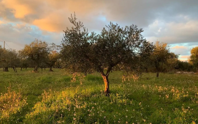 Fattoria Il Trullo Del Generale
