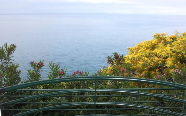Lobos Bay
