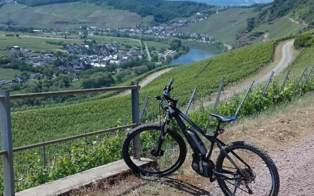 Holiday Apartment Moselle Beach 1