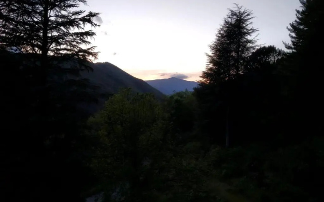 Pura Vida