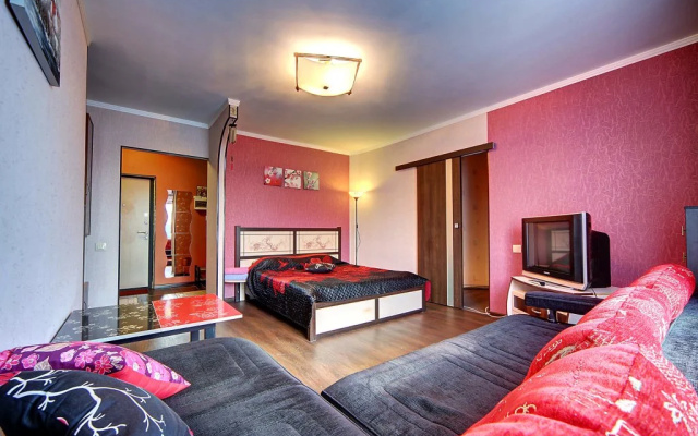 U Ledovogo Dvortsa Apartments