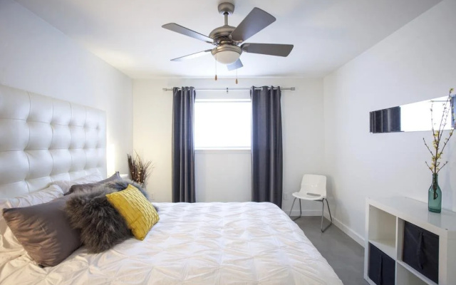 Travis Heights Modern IV