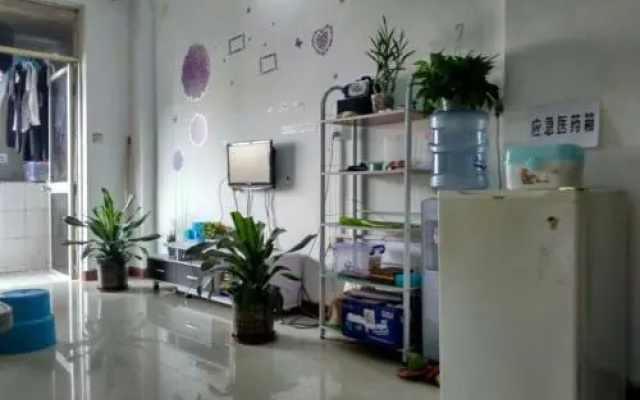 Migratory Bird Fly Hostel