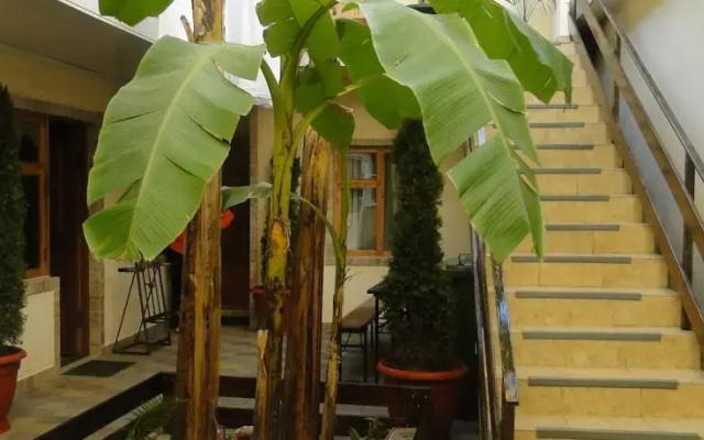 Afalina Guest House