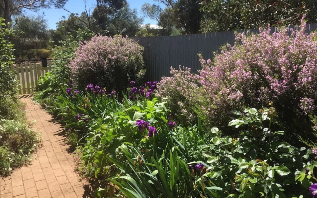 Blyth Cottage Burra