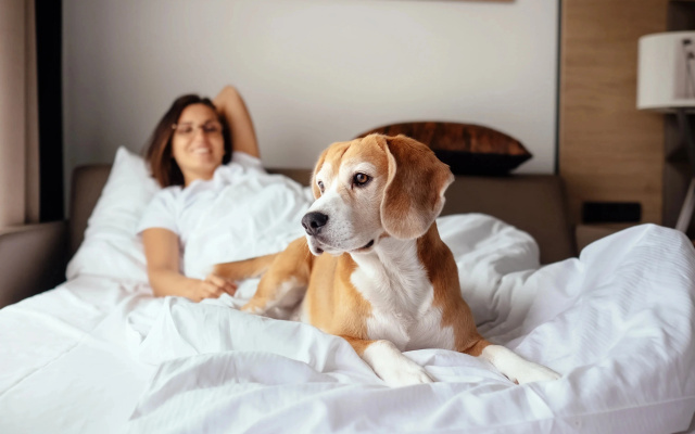 Crowne Plaza College Park - Washington DC by IHG