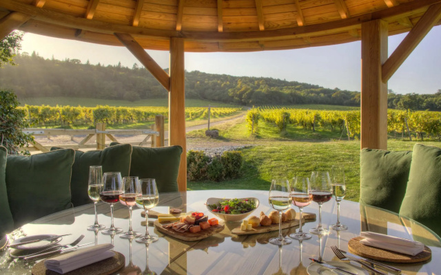 Denbies Vineyard Hotel