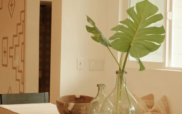 The Maya Suite