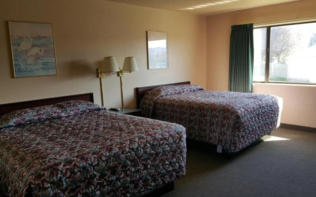 Safari Inn