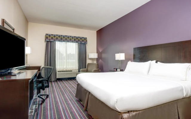 Holiday Inn Express and Suites Raceland - Highway