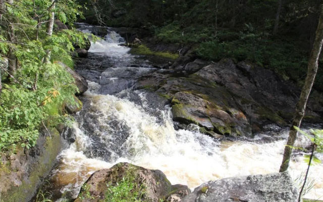 Wanha Autti Camping