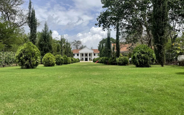 Amani Safari Lodge