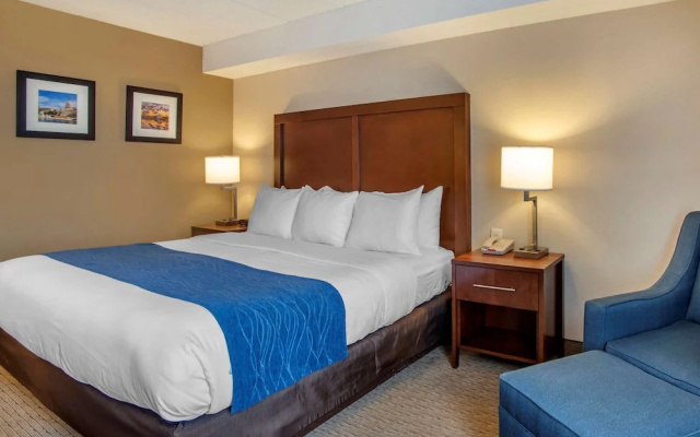 Comfort Inn At Shady Grove