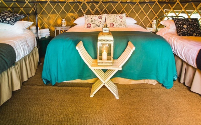 Holly - Yurt-Glamping