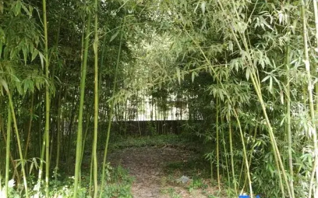 Heming Homestay (Tai'an Branch)
