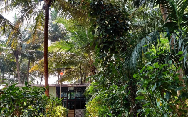 JD Home Stay