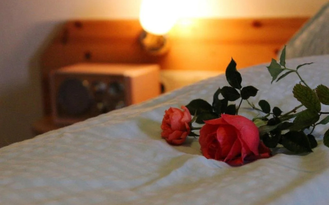 Hotel Kristall
