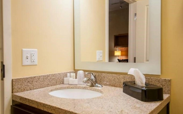TownePlace Suites by Marriott Baton Rouge Gonzales