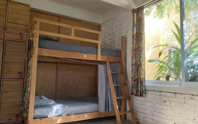 La Palmera Hostel