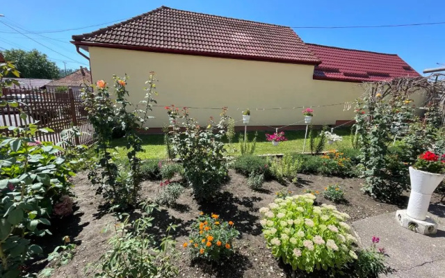 Cozy House Neustadt