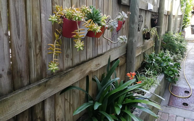 Studio Bay View