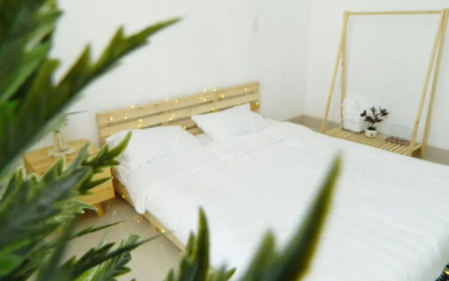 Homestay Trop Home - Hostel