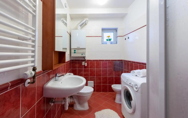 Nest Apartment