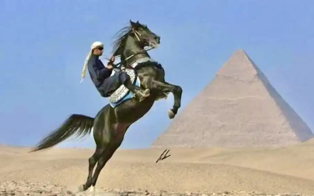 Magic Pyramids View Accommodation