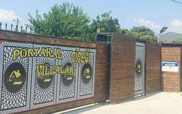 Portakal Çiçeği 1