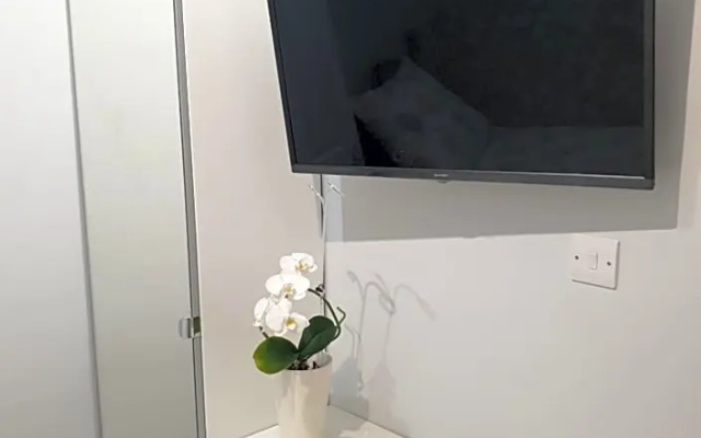 Comfortable Rooms in the House (Adults Only)