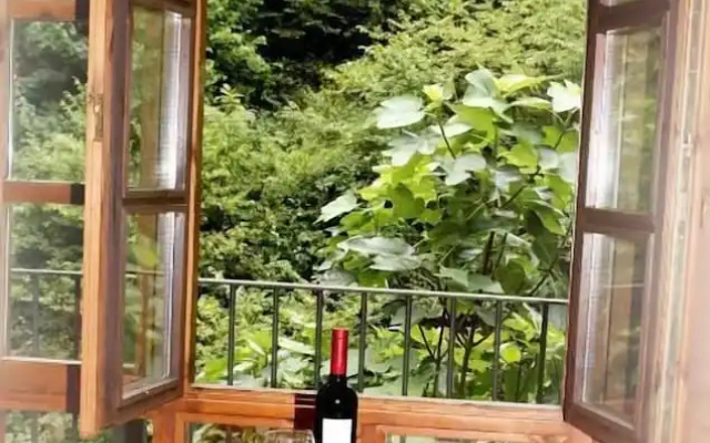 Apartamentos Aguasaliu