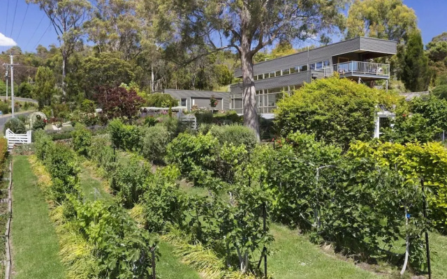 The Vanilla House