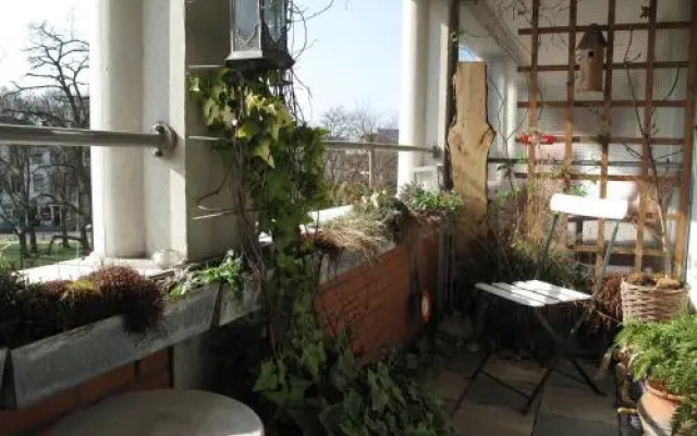 Treetop Apartment