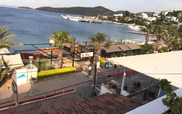 Apartment 2 bedroom in Turkbuku 1