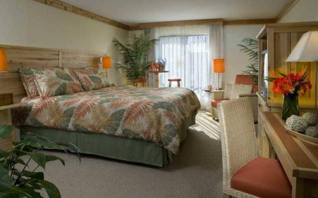 Отель Hilton Gran Vacation Hilton США, Нью-Йорк - отзывы, цены и фото номеров - забронировать отель Hilton Gran Vacation Hilton онлайн комната для гостей