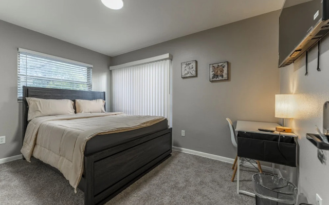 ZenHomes in Tampa near Busch Gardens