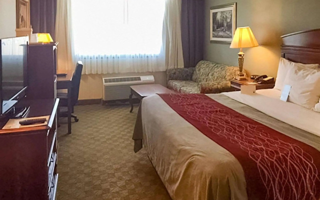 Comfort Inn Springfield