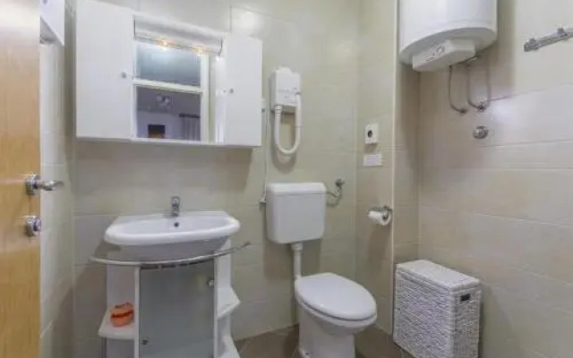 Apartment Janez