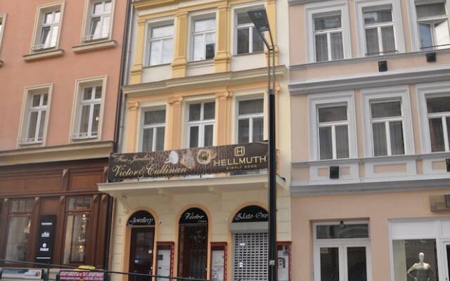 Отель Apartmán Lukas Чехия, Карловы Вары - отзывы, цены и фото номеров - забронировать отель Apartmán Lukas онлайн вид на фасад