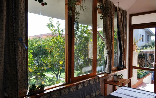 B&B Il Ciliegio